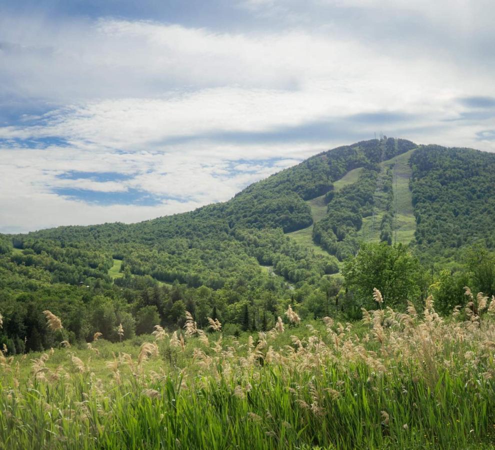 Condo Hotel Au Pied Du Mont Orford Zewnętrze zdjęcie