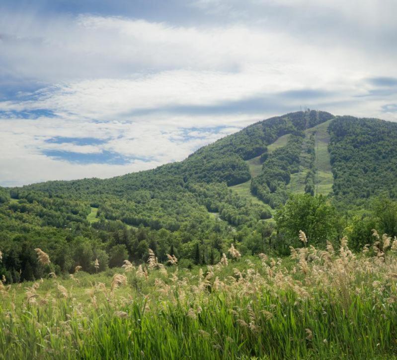 Condo Hotel Au Pied Du Mont Orford Pokój zdjęcie